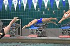 Swimming & Diving vs Babson  Swimming & Diving vs Babson College. - Photo by Keith Nordstrom : Wheaton, Swimming